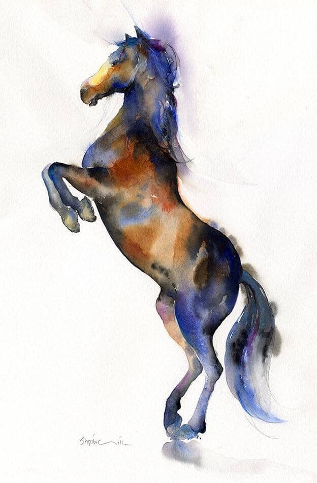 Horse - Rearing Beauty Sheila Gill Fine Art