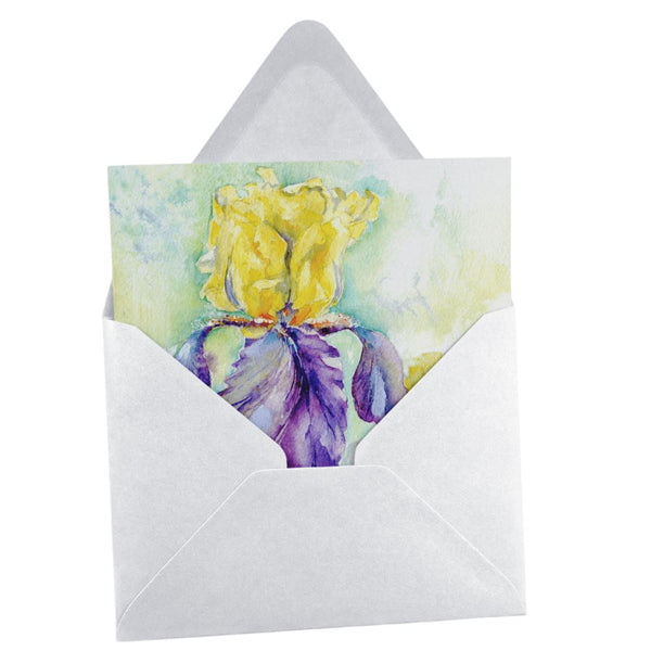 Iris Greeting Card designed by artist Sheila Gill