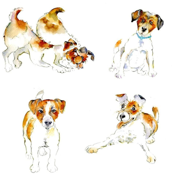 Jack Russell Dog Greeting Card designed by artist Sheila Gill