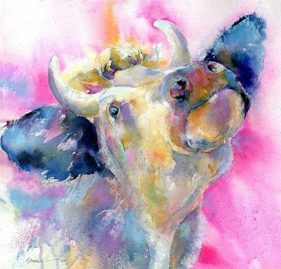 Cow Greeting Card designed by artist Sheila Gill
