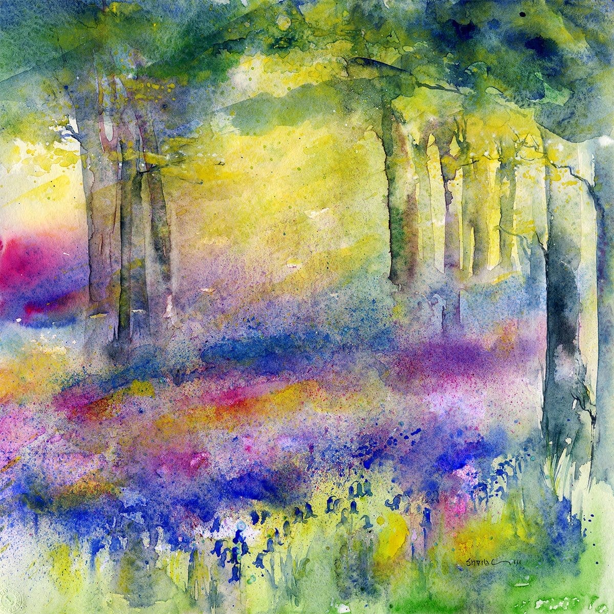 Bluebell Wood Watercolour landscape Art Print designed by artist Sheila Gill
