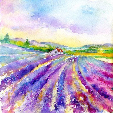 Lavender Field Art Print Watercolour designed by artist Sheila Gill
