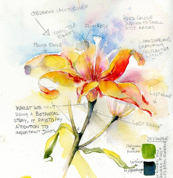 Lily Flower Art Card