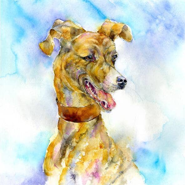 Lurcher Dog Art Print designed by artist Sheila Gill
