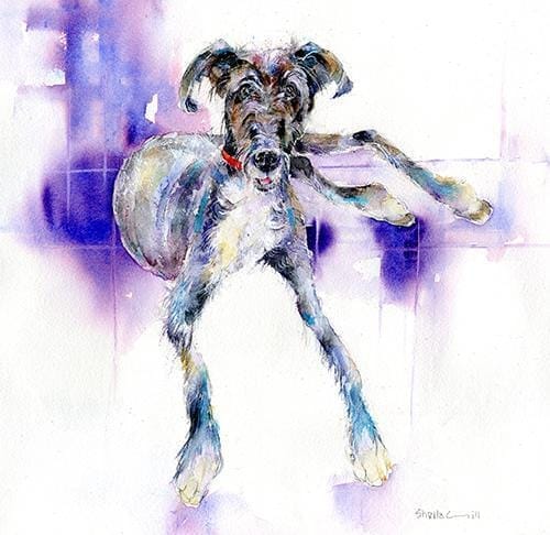 Lurcher Puppy Dog Art Print designed by artist Sheila Gill
