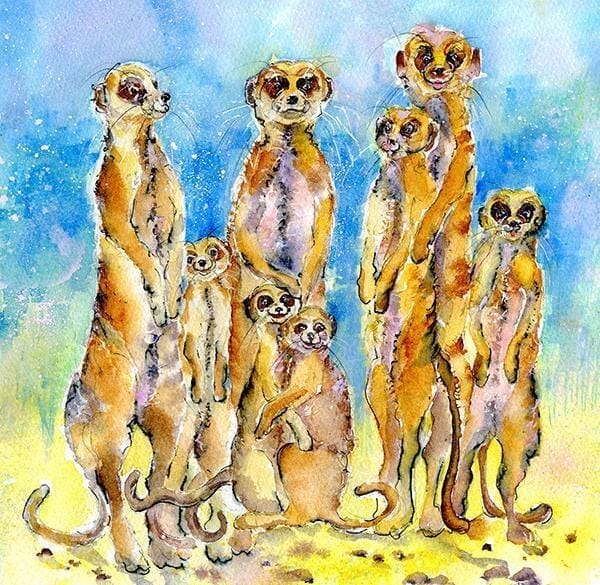 Meerkat Greeting Card