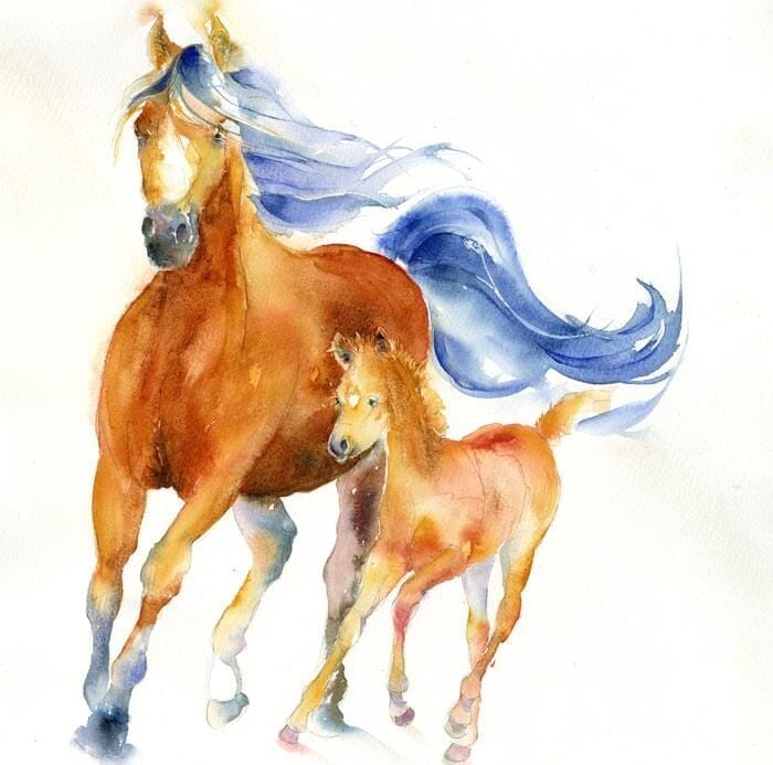 Brown Bay Horse and Foal Art Print designed by artist Sheila Gill
