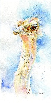 Ostrich Head Art Picture watercolour wildlife designed by artist Sheila Gill
