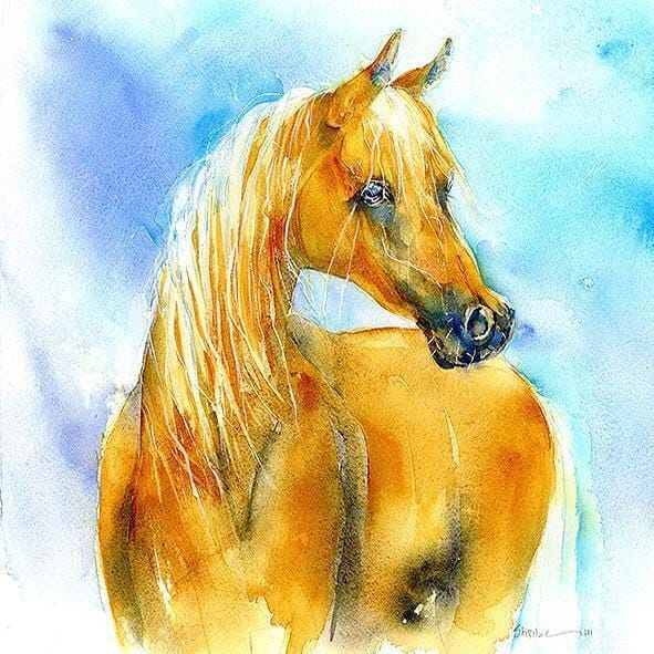 Palomino Horse Free Spirit Greeting Card designed by artist Sheila Gill