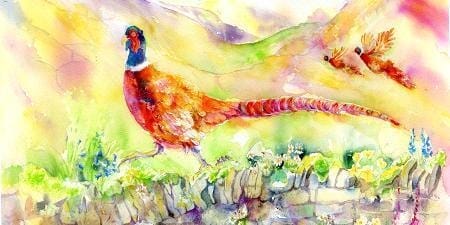 Pheasant Bird Greeting Card designed by artist Sheila Gill