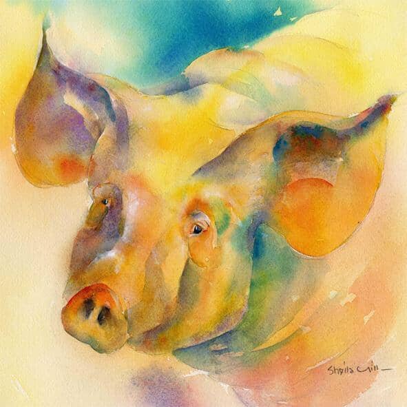 Pig Greeting Card designed by artist Sheila Gill