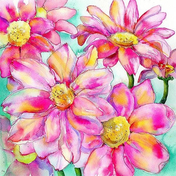 Pink Daisy - Flower Floral Art Picture Watercolour painted by artist Sheila Gill
