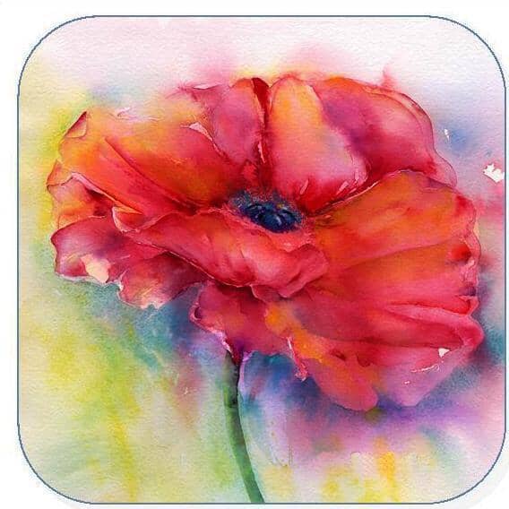 Poppy Flower Coaster Sheila Gill Fine Art
