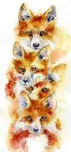 Red Fox Art Picture Watercolour designed by artist Sheila Gill
