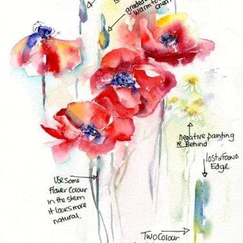 Red Poppies Flower Card Sheila Gill Fine Art 