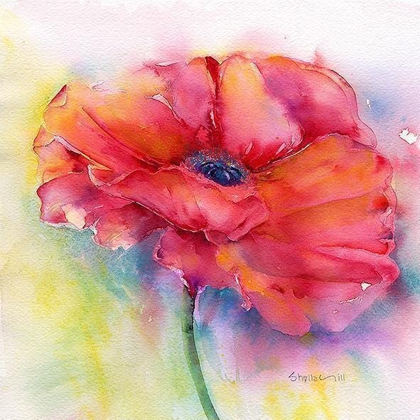 Red Poppy Greeting Card designed by artist Sheila Gill