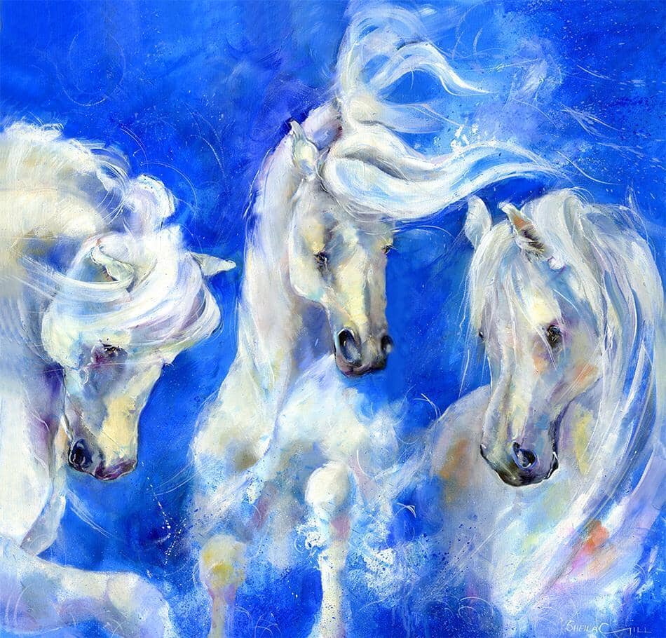 White Spanish Horse Art Print designed by artist Sheila Gill
