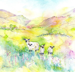 Springtime Lambs Greeting Card designed by artist Sheila Gill
