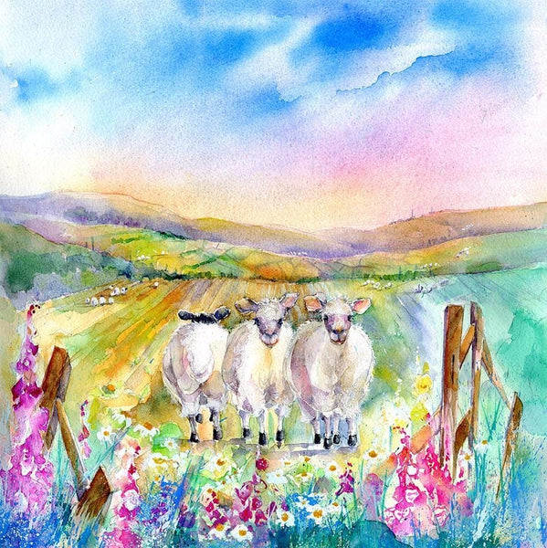 Sheep Greeting Card designed by artist Sheila Gill
