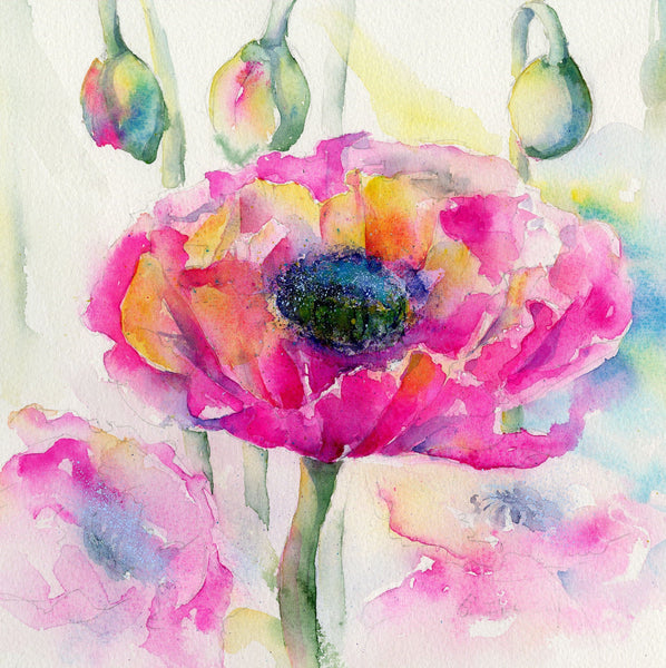 Pink Poppy Watercolour floral Art Print Home decoration designed by artist Sheila Gill
