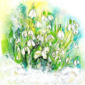 Snowdrops Flower Greeting Card Sheila Gill Fine Art 