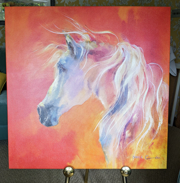Spanish White Horse Canvas Print Sheila Gill Fine Art