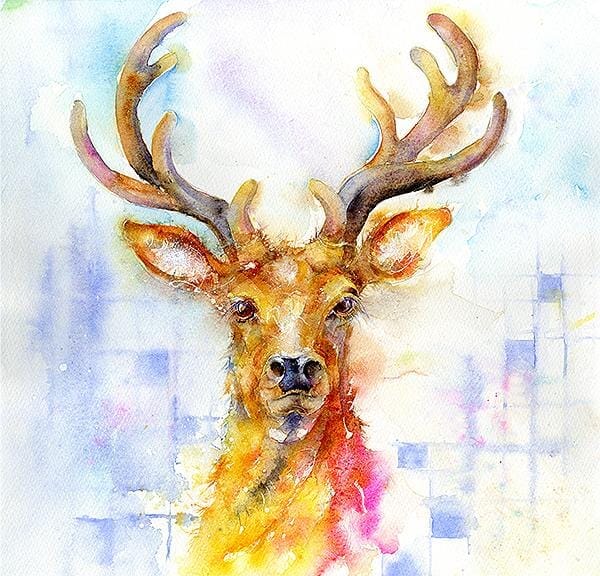Wild Highland Stags Head Art Picture Watercolour painted by artist Sheila Gill
