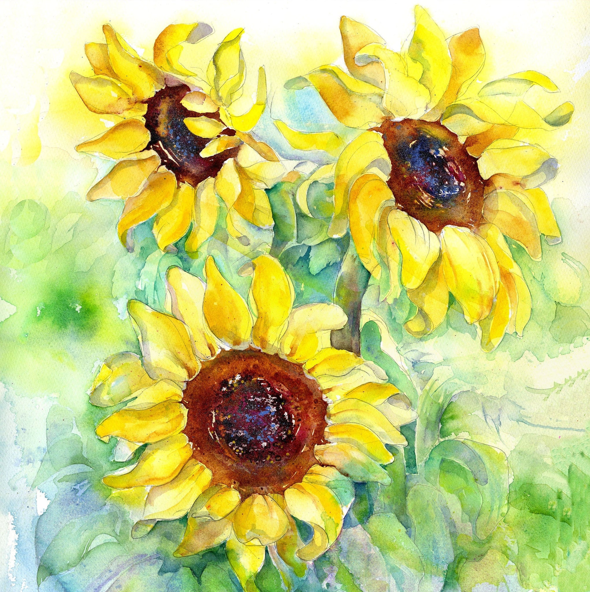 Sunflowers Floral Art Print Watercolour painted by artist Sheila Gill
