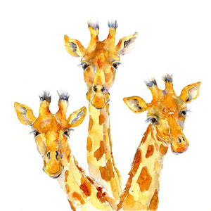 Three Giraffes Wild Animal Art Picture Watercolour painting designed by artist Sheila Gill
