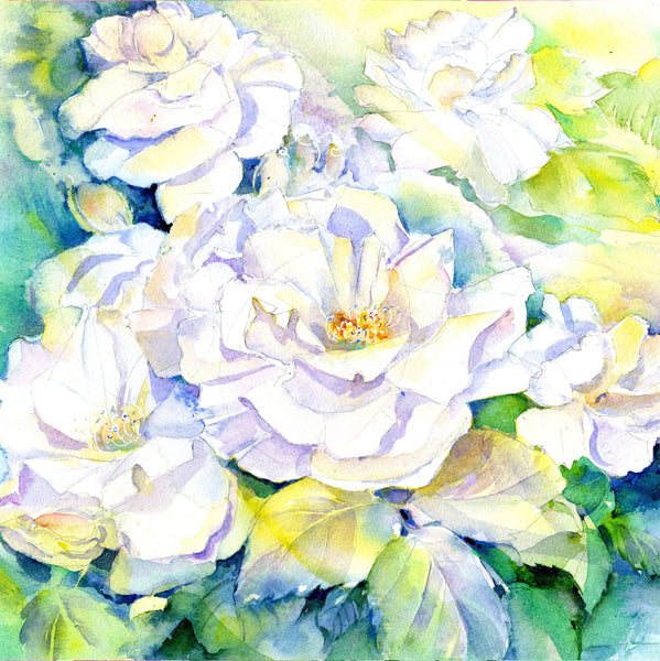 Vintage White Roses - Floral Flower Art Picture Watercolour painted by artist Sheila Gill
