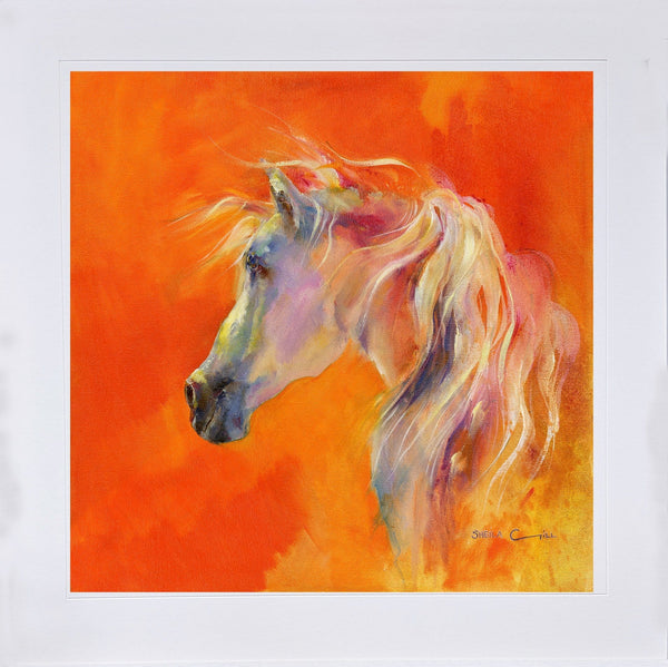 White Arabian Horse Art Print designed by artist Sheila Gill