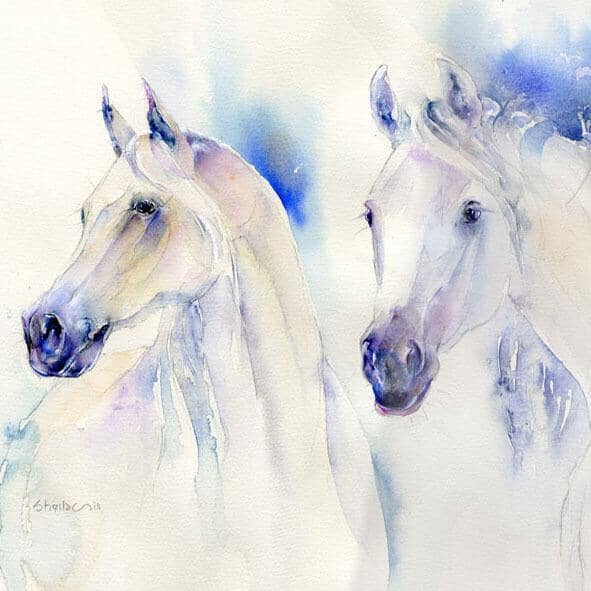 White Arabian Horses Greeting Card designed by artist Sheila Gill