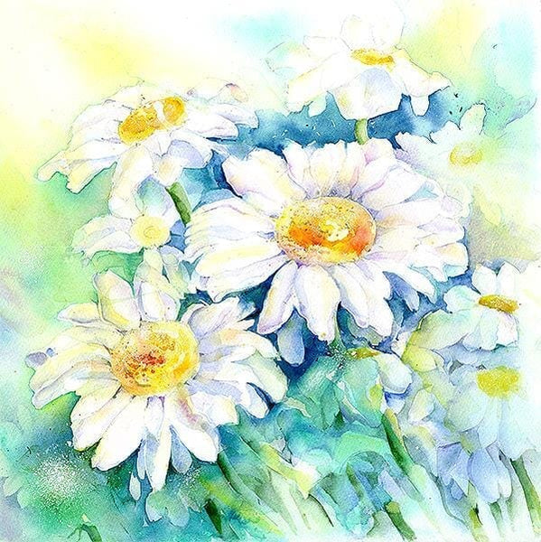 White Daisy - Flower Floral Art Picture Watercolour painted by artist Sheila Gill
