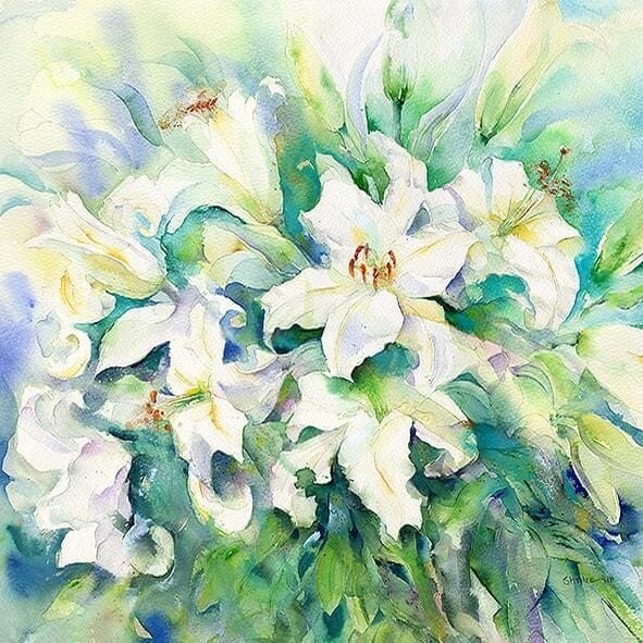 White Lilies Green and White Floral Art Picture Watercolour painted by artist Sheila Gill
