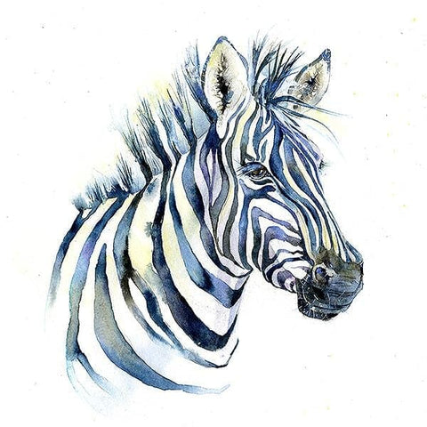 Zebra Art Picture Watercolour African animal painted by artist Sheila Gill
